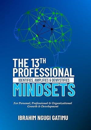 The 13th Professional